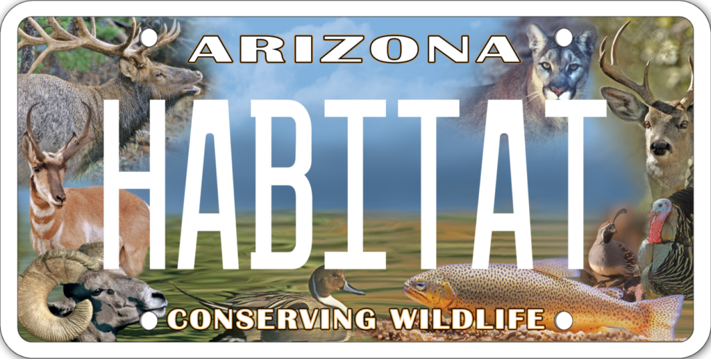 Arizona habitat license plate is a sought-after item for nature lovers everywhere.