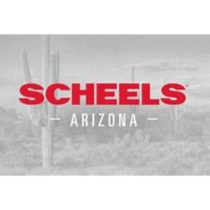 Scheels arizona logo with a cactus in the background.